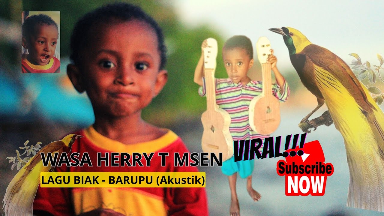 Viral !!! Ade Herry - BARUPU || lagu biak -  VG MFI Akustik