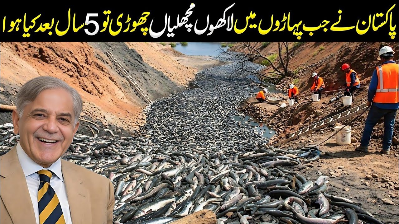Pakistan Released Millions of Fish in the Mountains - 5 Years Later, This Happened