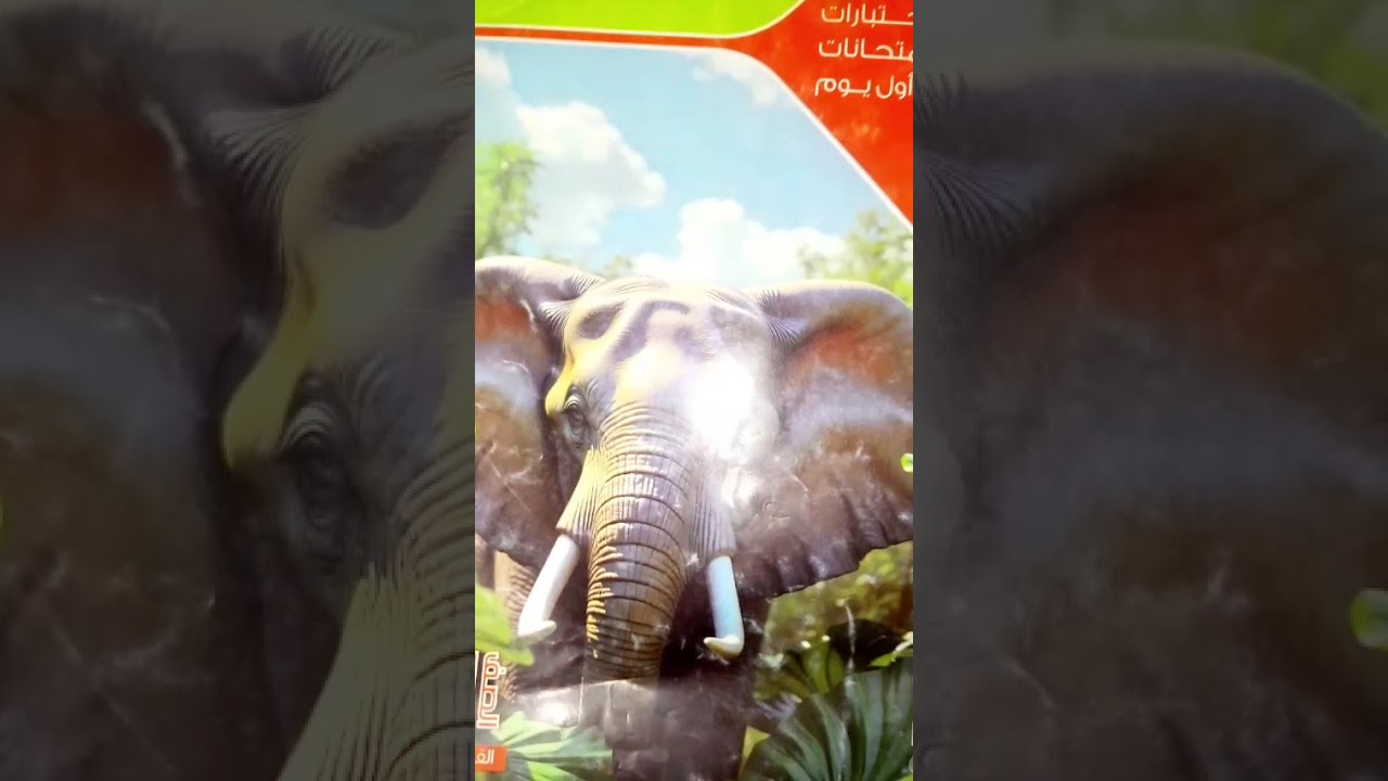الصف الثاني الاعدادي الوحدة الاولى الدرس الاول