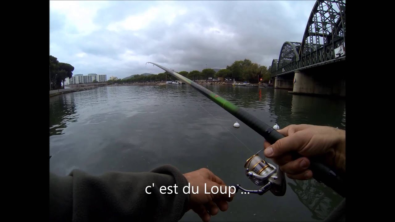 Comment pêcher le Loup aux vifs en Méditérannée/ANTOMICOU FISHING