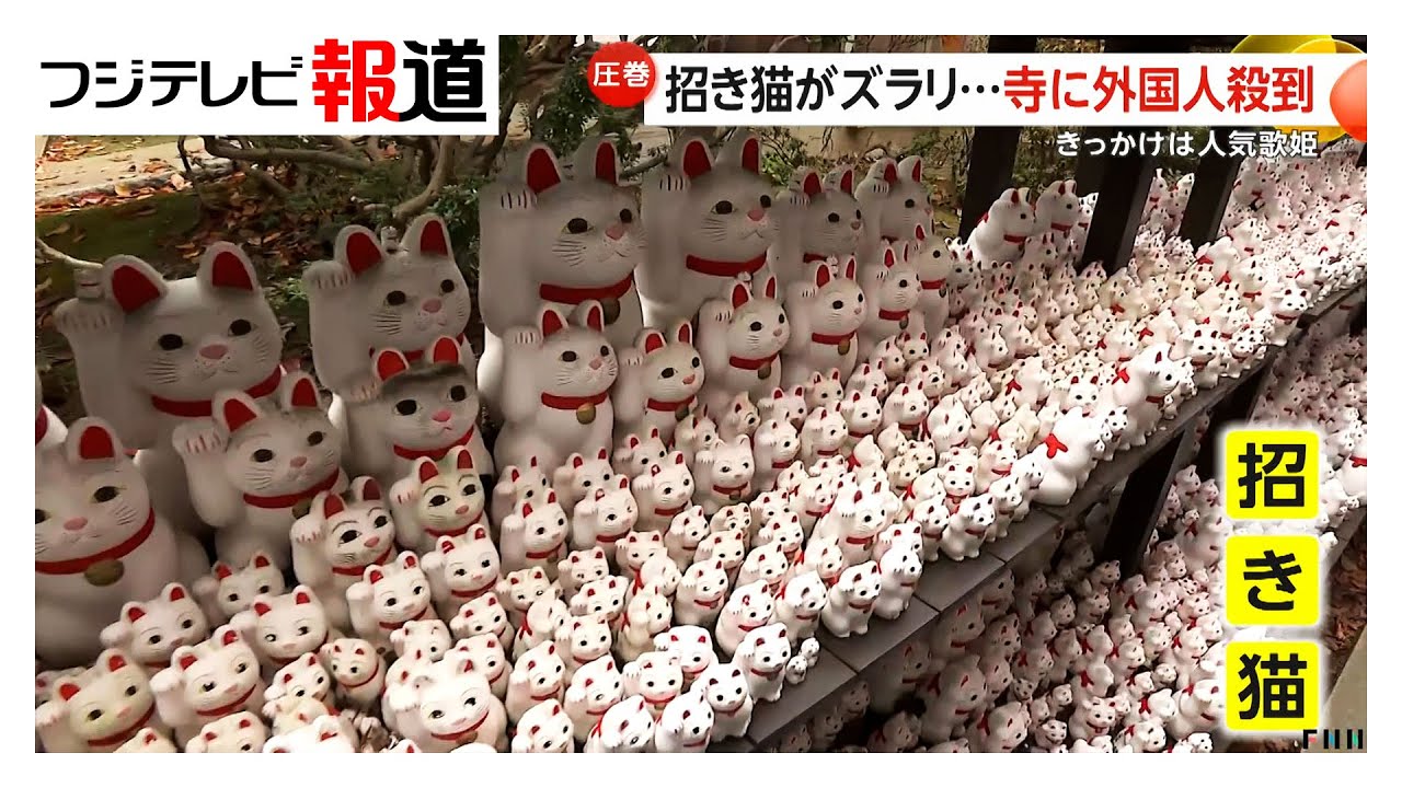 招き猫で“Lucky Cat Temple”としてSNSで話題　世田谷区の豪徳寺に外国人観光客が殺到