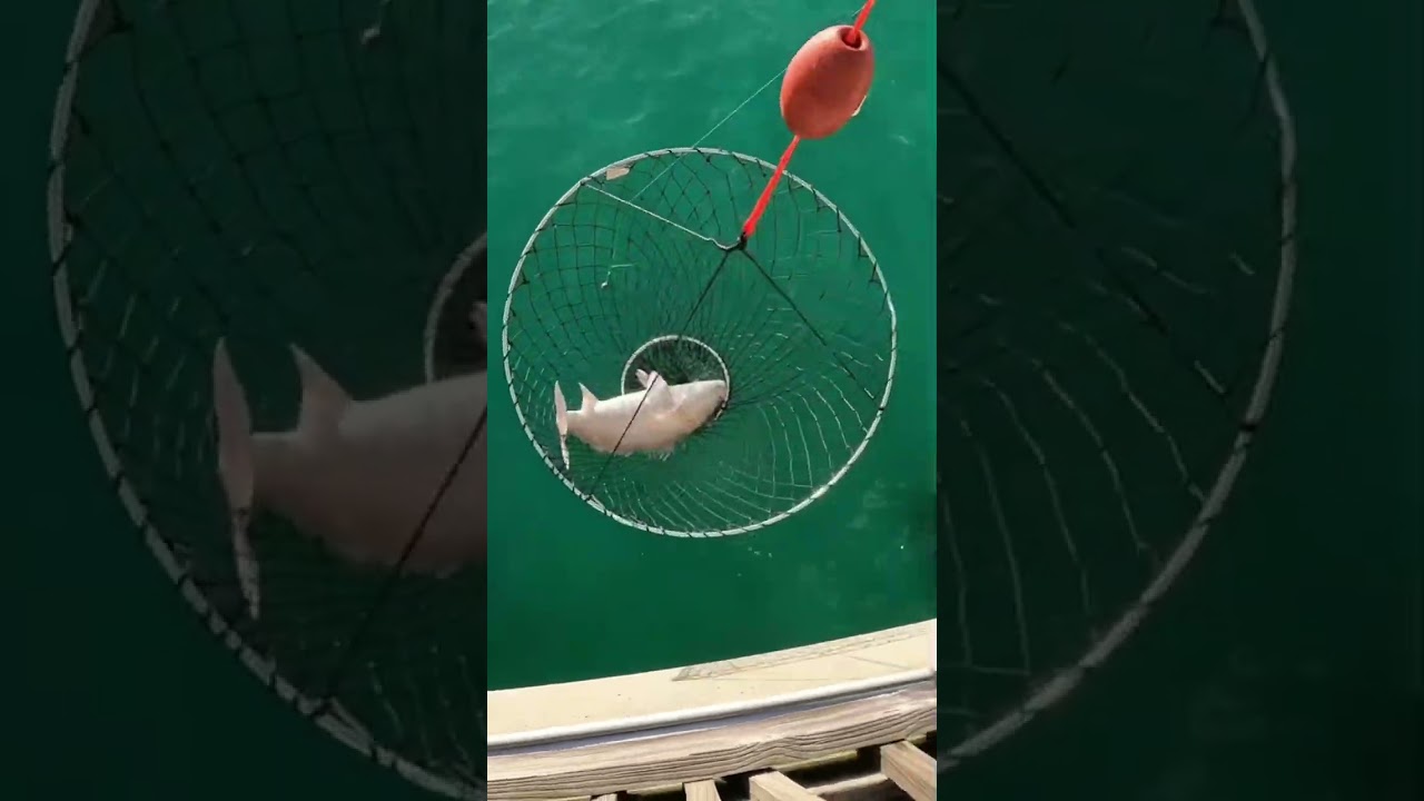 Red on the pier❤️