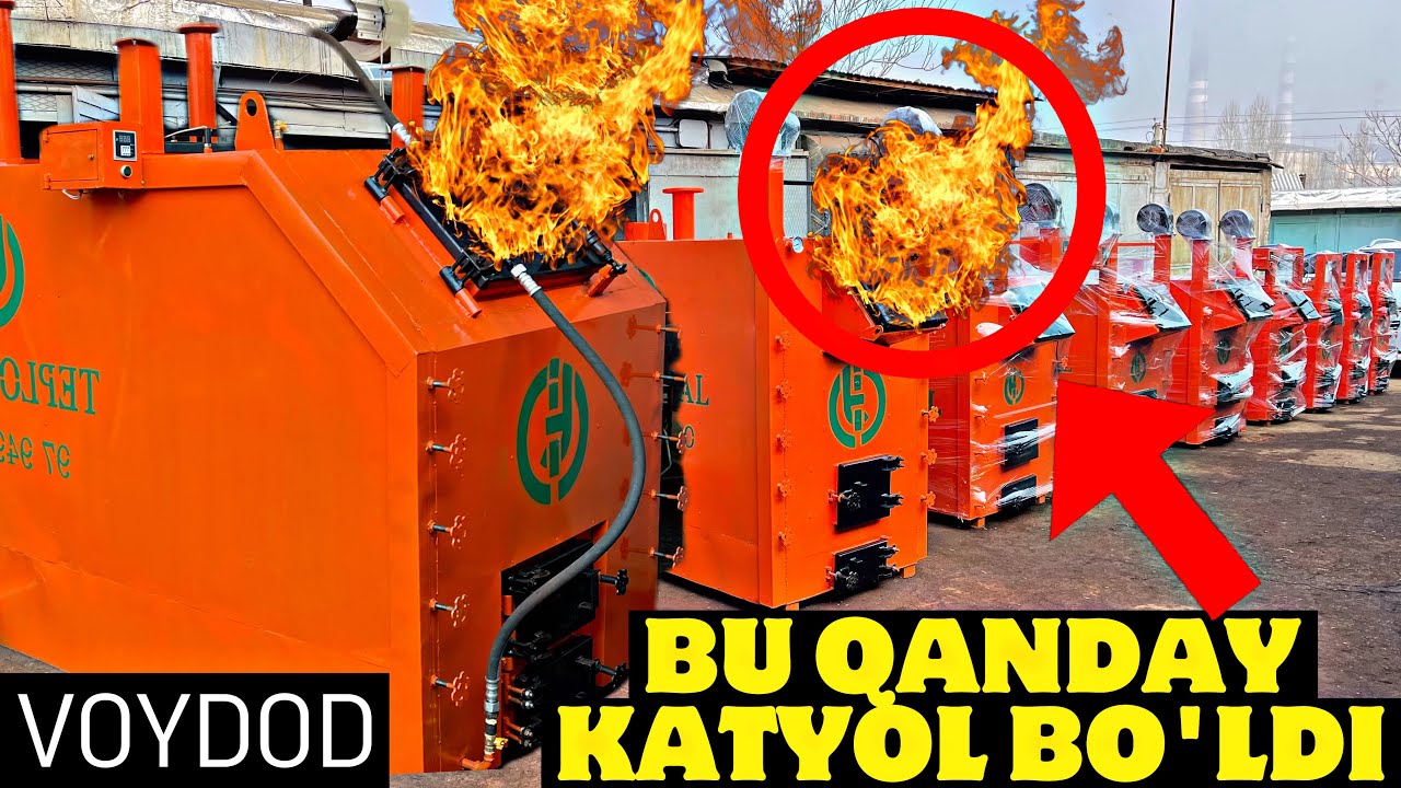 MANA BUTUN DUNYO TAN OLGAN DINOZAVR KATYOLLAR TEPLO IDEALDAN