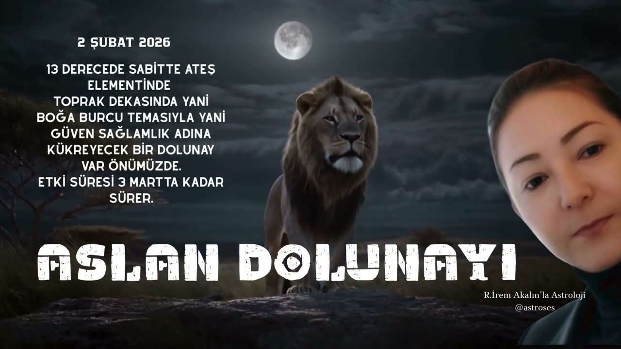 ASLAN DOLUNAYI