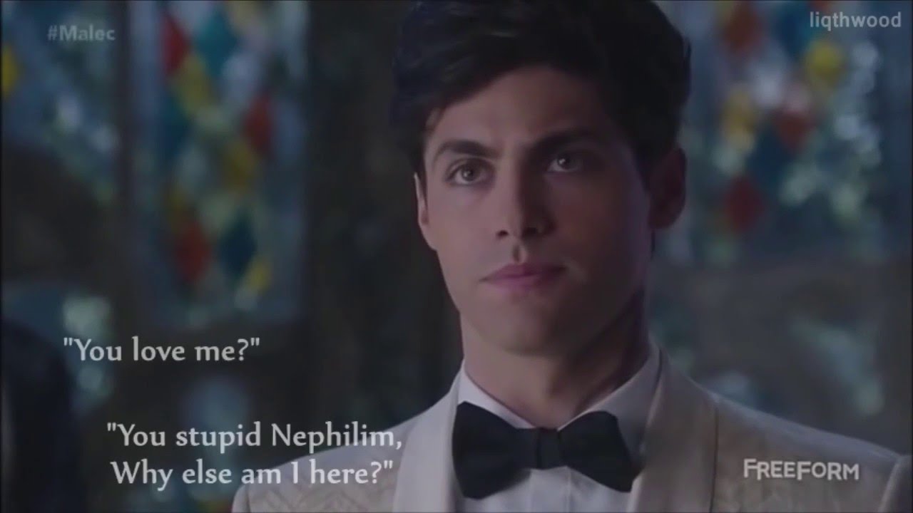 Magnus & Alec | You stupid Nephilim