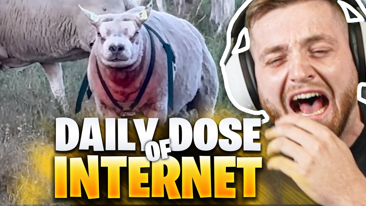 🤯🤯Einfach ein SCHAFUND! Noch NIE SOWAS GESEHEN! - Daily DOSE REAKTION  | Trymacs Stream Highlights