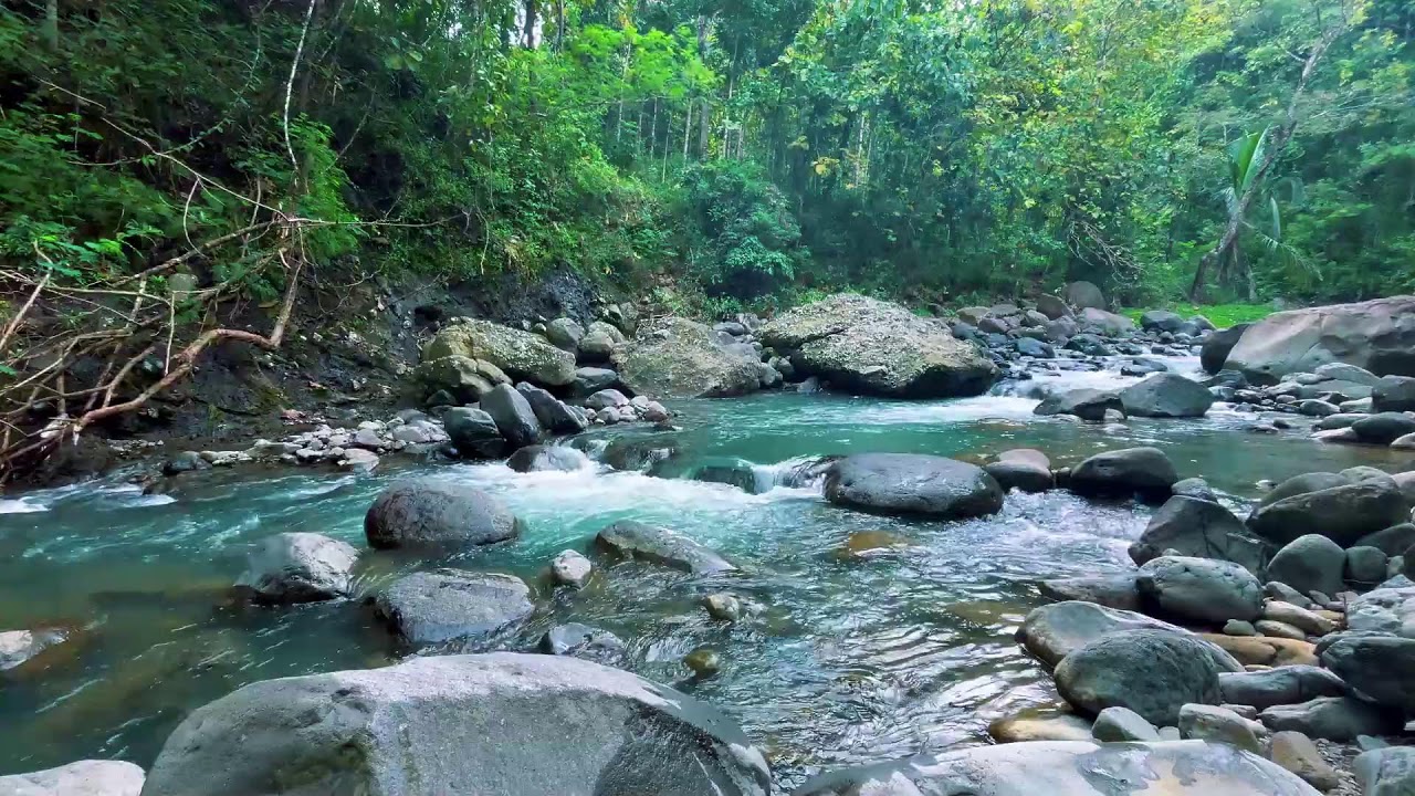 Gentle River Sounds for Sleeping, River Sounds for relaxation, Water Sounds for stress relief