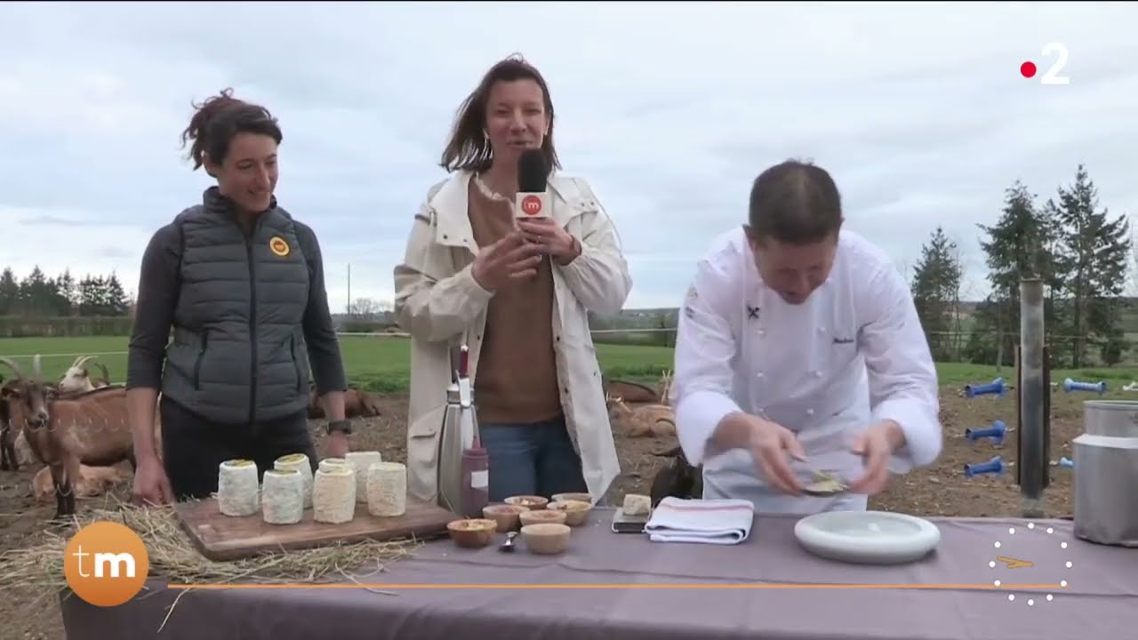 Dégustation de fromage Charolais  // Télématin - Fenêtre sur les régions - France 2