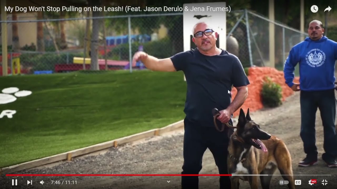 Cesar Millan Chokes Dog And Calls It Training - Review