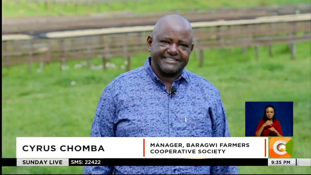 The Plan Is Working! Coffee Farmers Reap Big Under President Ruto&rsquo;s Leadership ☕🇰🇪