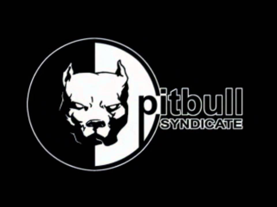 Cyro Interactive/Pitbull Syndicate (2000)