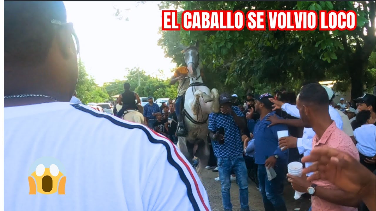 “Casi lo Mata un Caballo en Higüey 🐎😱 | Vlog Ecuestre”