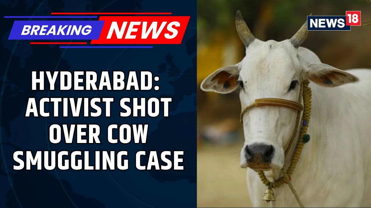 Anti-Cow Smuggling Activist Shot In Hyderabad | Shooter Absconding, Victim Is Under Treatment