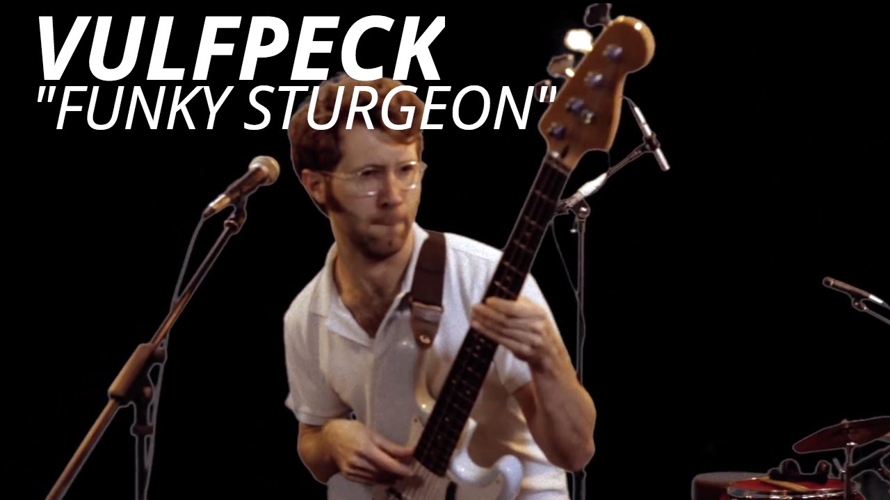 VulfPeck 