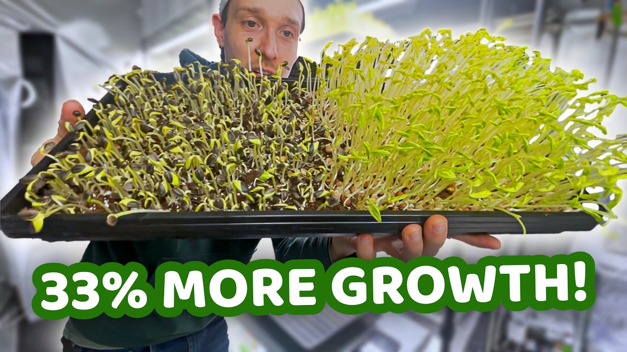 I Grew Microgreens With Nanobubbles! 8+ Crops, 12 Days, SURPRISING Result!