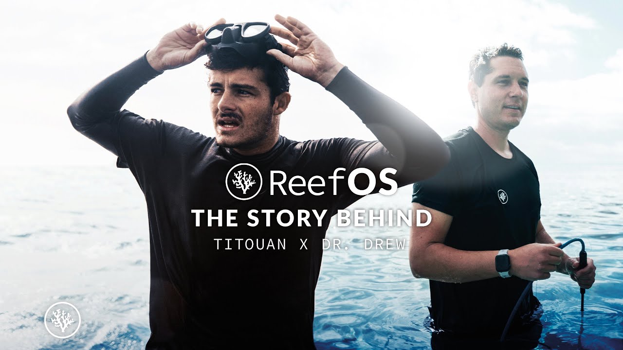 ReefOS - the story behind the first Coral Gardeners' innovation project