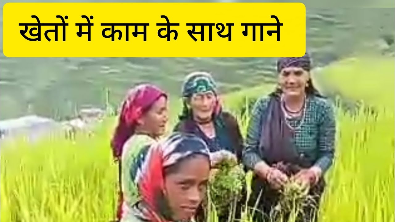 मेरे ससुराल सुया खेतों में काम करते समय गाते हुए @KhushiBimoli #garhwali #pahadi