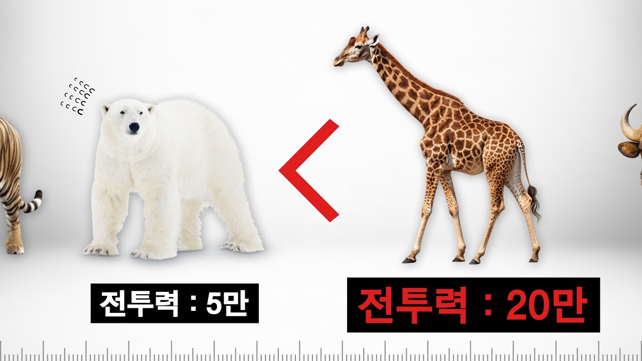 육상 동물의 전투력을 비교해보자