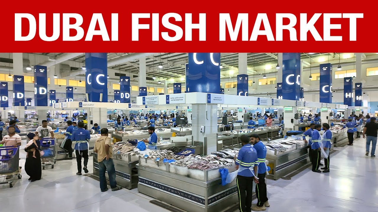 Dubai Fish Market | Waterfront Market Deira &ndash; A Must-Visit Spot | Top Thing to Do in Dubai