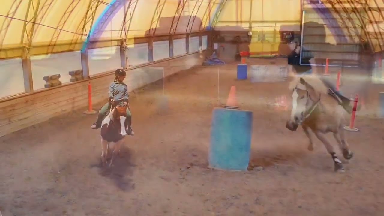 WE GOT A HORSE!!///DRAMA!!