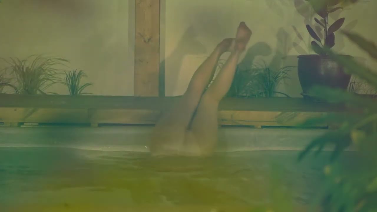 מיזו לקט מהבריכה