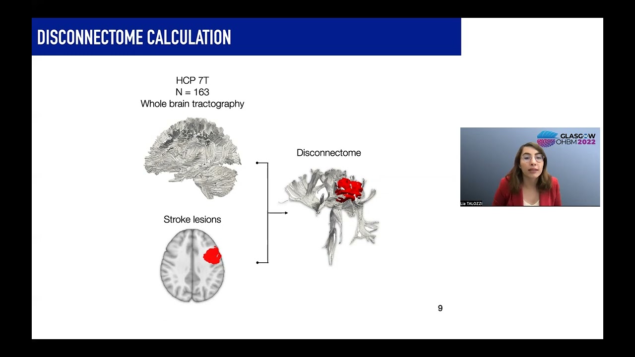 OHBM2022 Educational Course: Parcellating the white matter with neuropsychological symptoms