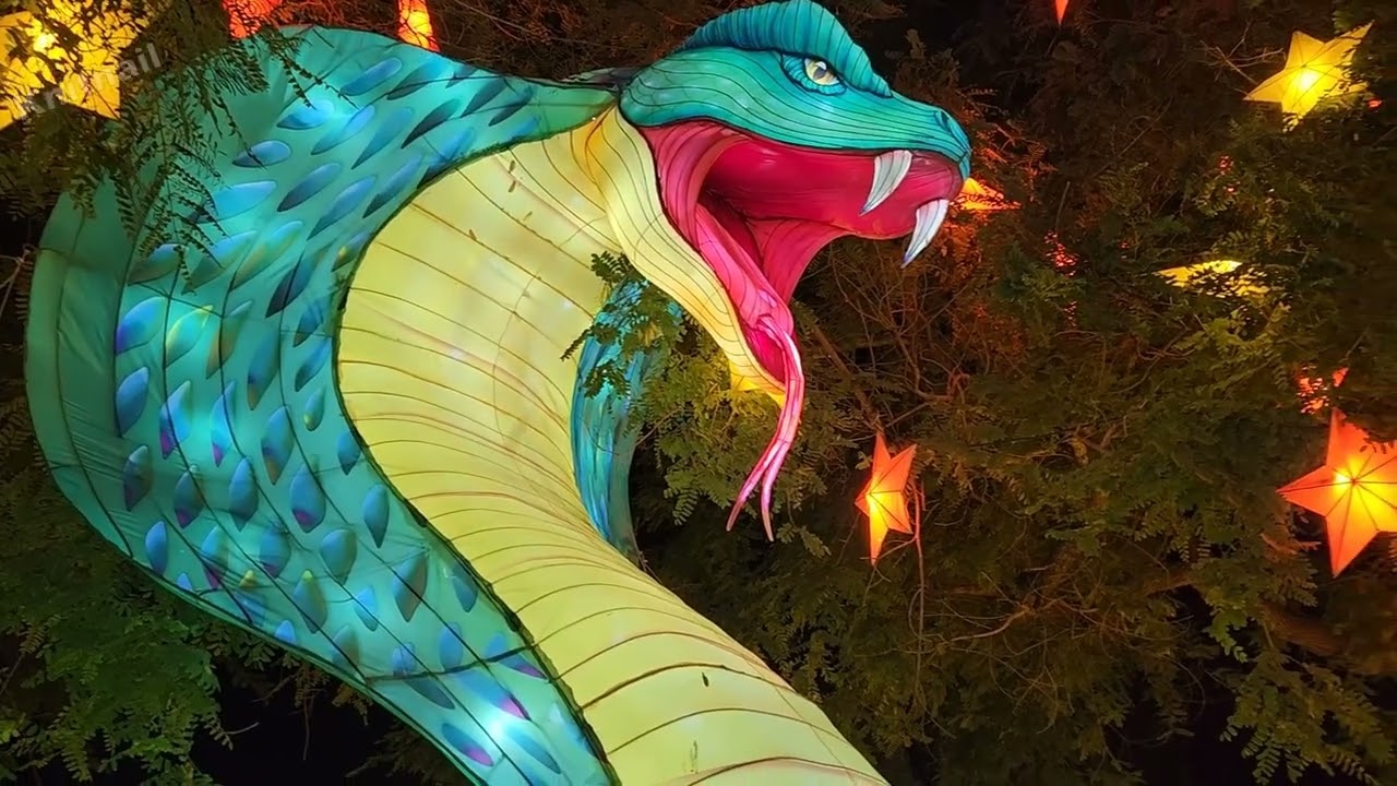 Los Angeles Zoo Lights. New Year 2026. California.