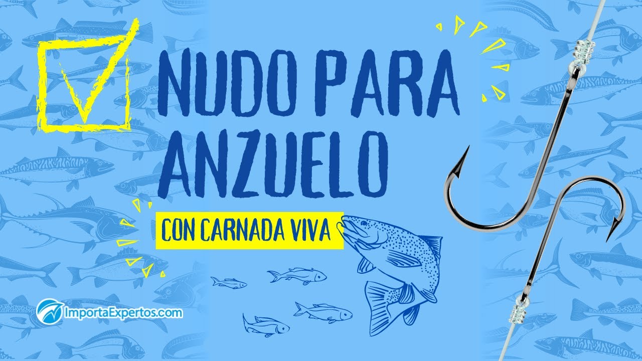 Nudo para Anzuelo con Carnada Viva