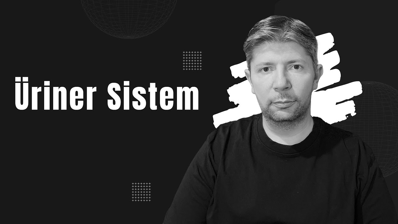 Üriner Sistem (Boşaltım Sistemi)  #aytbiyoloji #ürinersistem  #boşaltımsistemi #sarmalbiyoloji