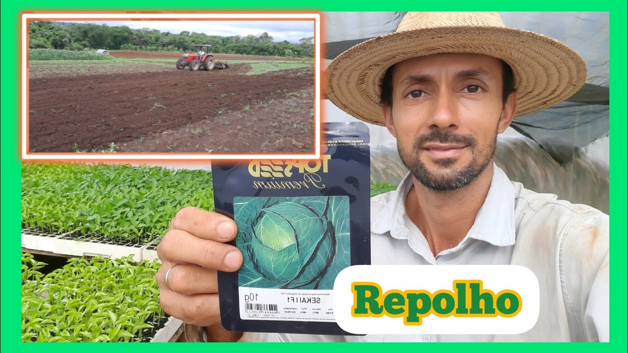 Plantio de Repolho e preparo do solo //Mais um dia de trabalho na Roça.