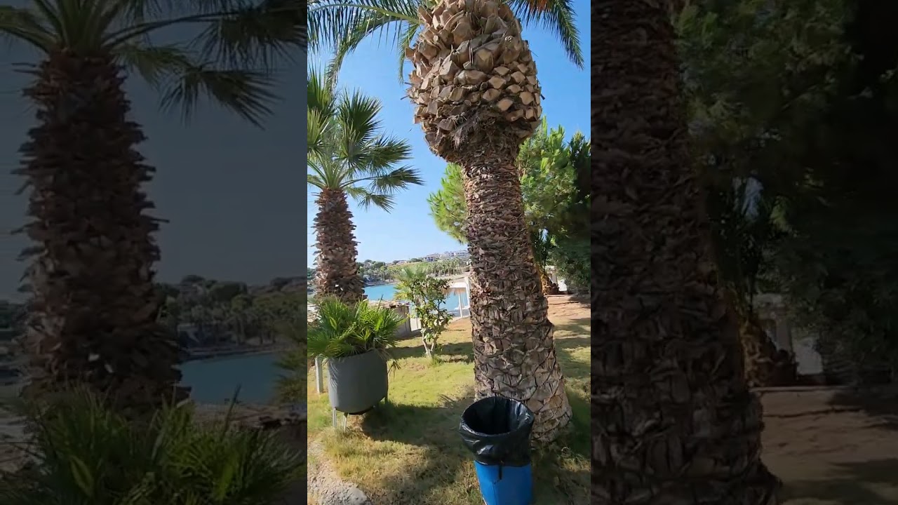 Çeşme Dalyan'da Cennetten bir an: Ladin Otel