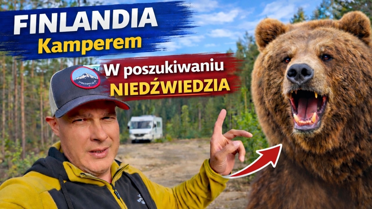 🇫🇮 Finlandia Kamperem, Niedźwiedzie, renifery i Wioska Mikołaja