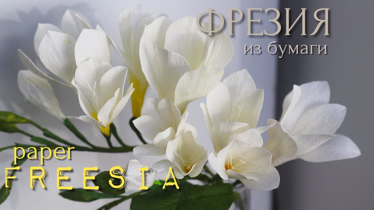 DIY/ ФРЕЗИЯ ИЗ БУМАГИ/ FREESIA PAPER