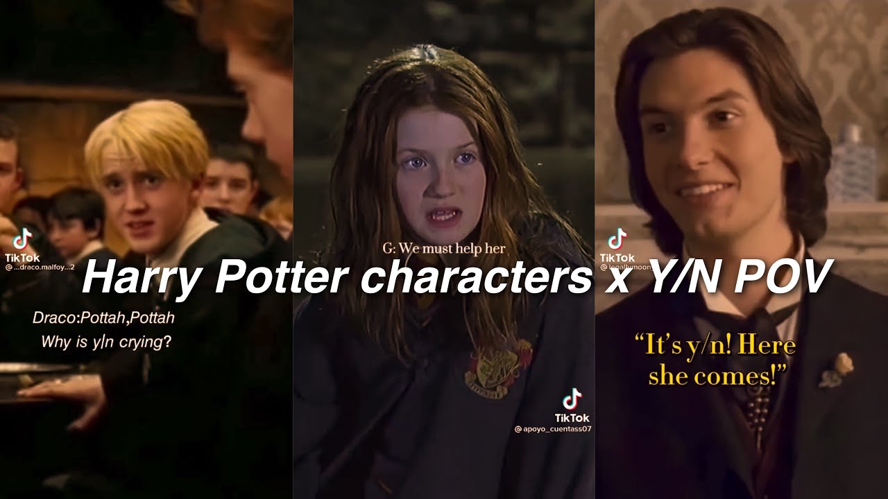 Harry Potter characters x Y/N TikTok POV