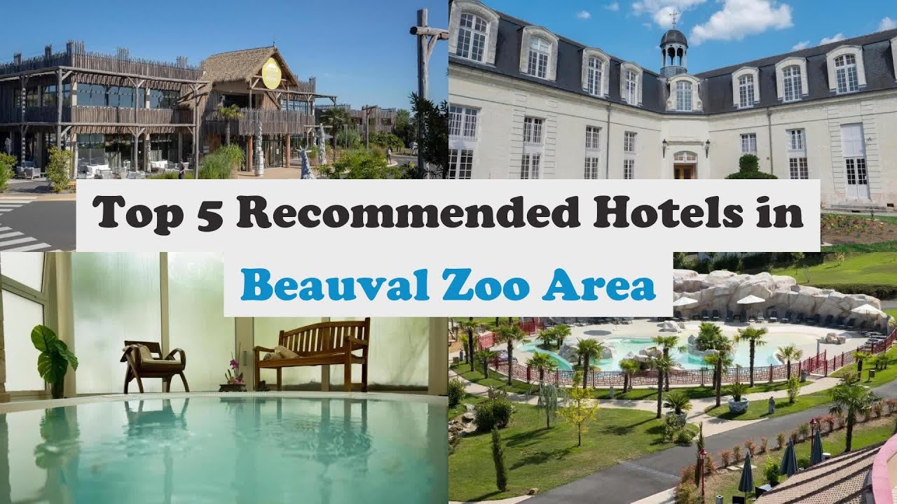 Top 5 Recommended Hotels In Beauval Zoo Area | Best Hotels In Beauval Zoo Area