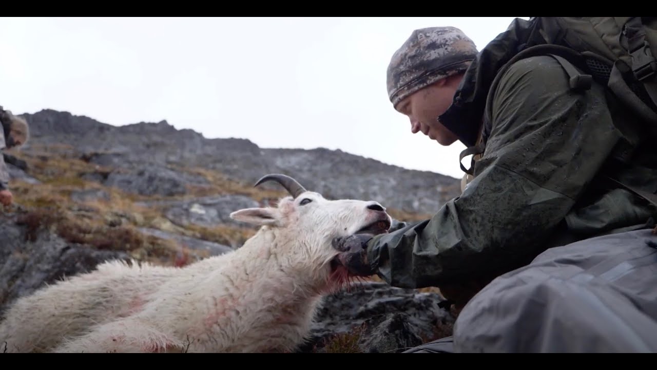 Hunting Mountain Goats In The Backcountry