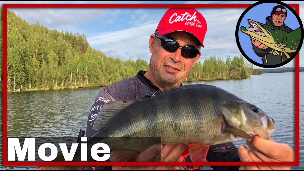 🎣 PERCH PRO 5, CWC FISHING TEAM COMPILATION 🎥 | vissen op roofvis | perch fishing | kunstaas #17