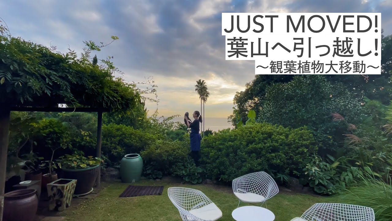 #39 JUST MOVED! 葉山へ引っ越し!〜観葉植物大移動〜