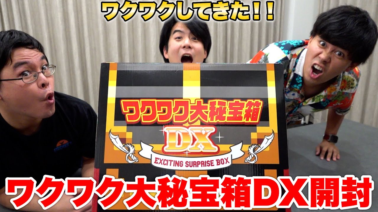 ドンキに売ってたワクワク大秘宝箱DX開けたらワクワクが止まらなすぎた！？！？