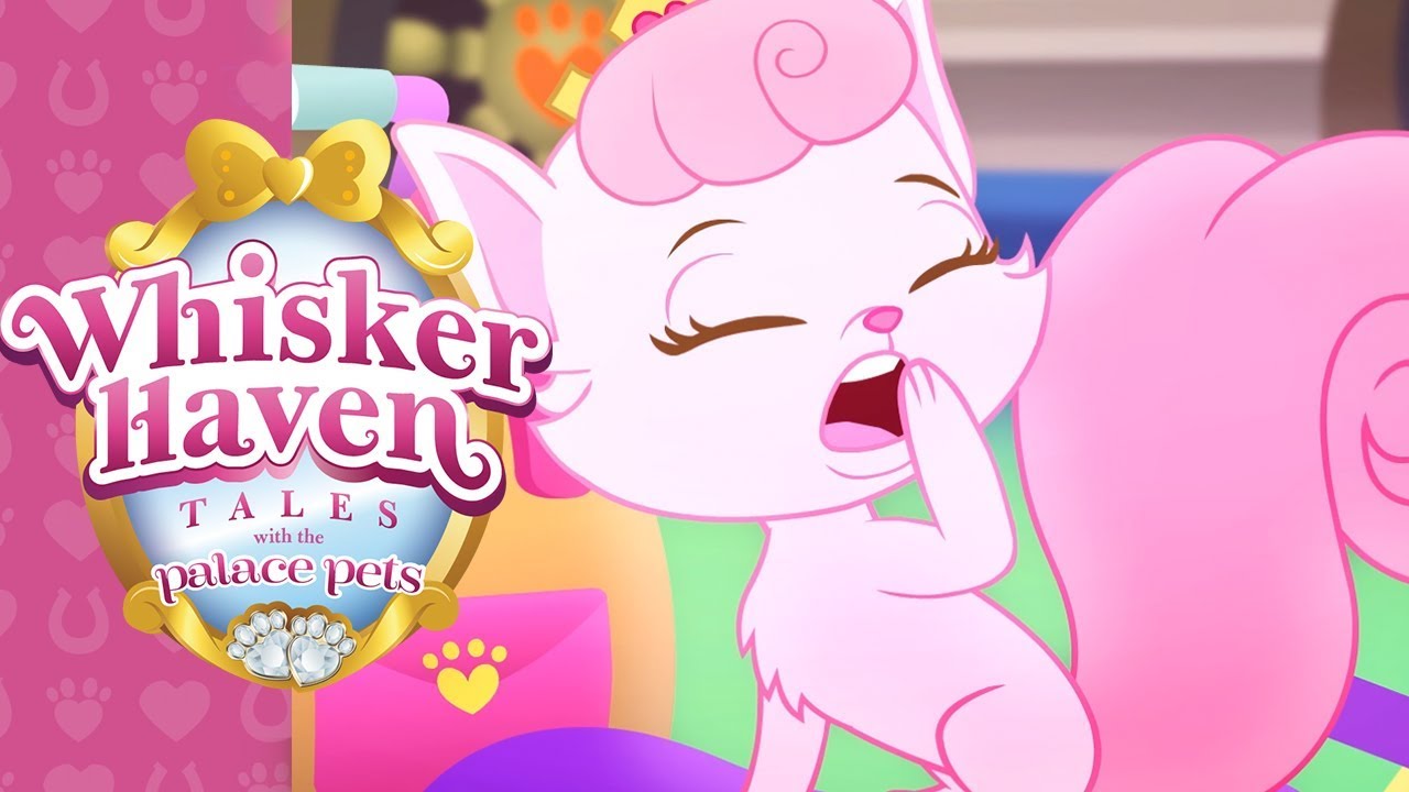 Whisker Haven Tales with the Palace Pets | Sleep Talkers | @disneyjr