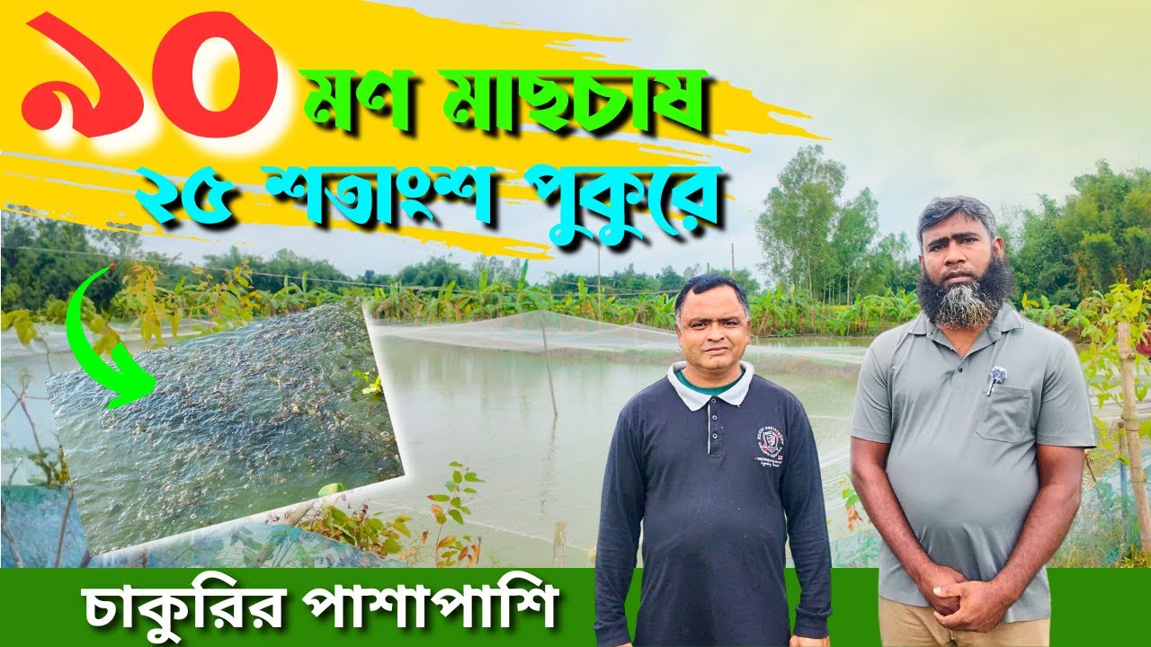 ২৫ শতাংশ পুকুরে ৯০ মণ মাছ চাষ । সহজ পদ্ধতিতে মাছ চাষ ।রুবেল । মছ বাড়ি ।