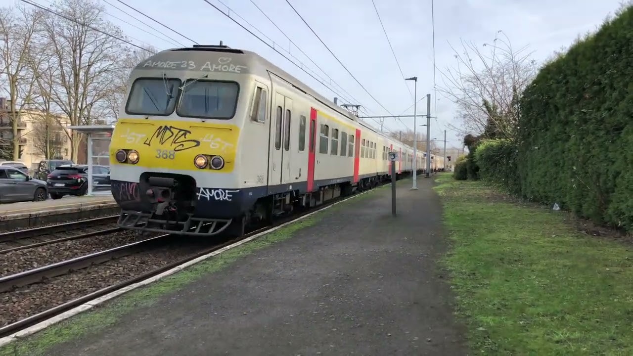 NMBS / SNCB Trains | Beveren (Waas) - 4k (BE)