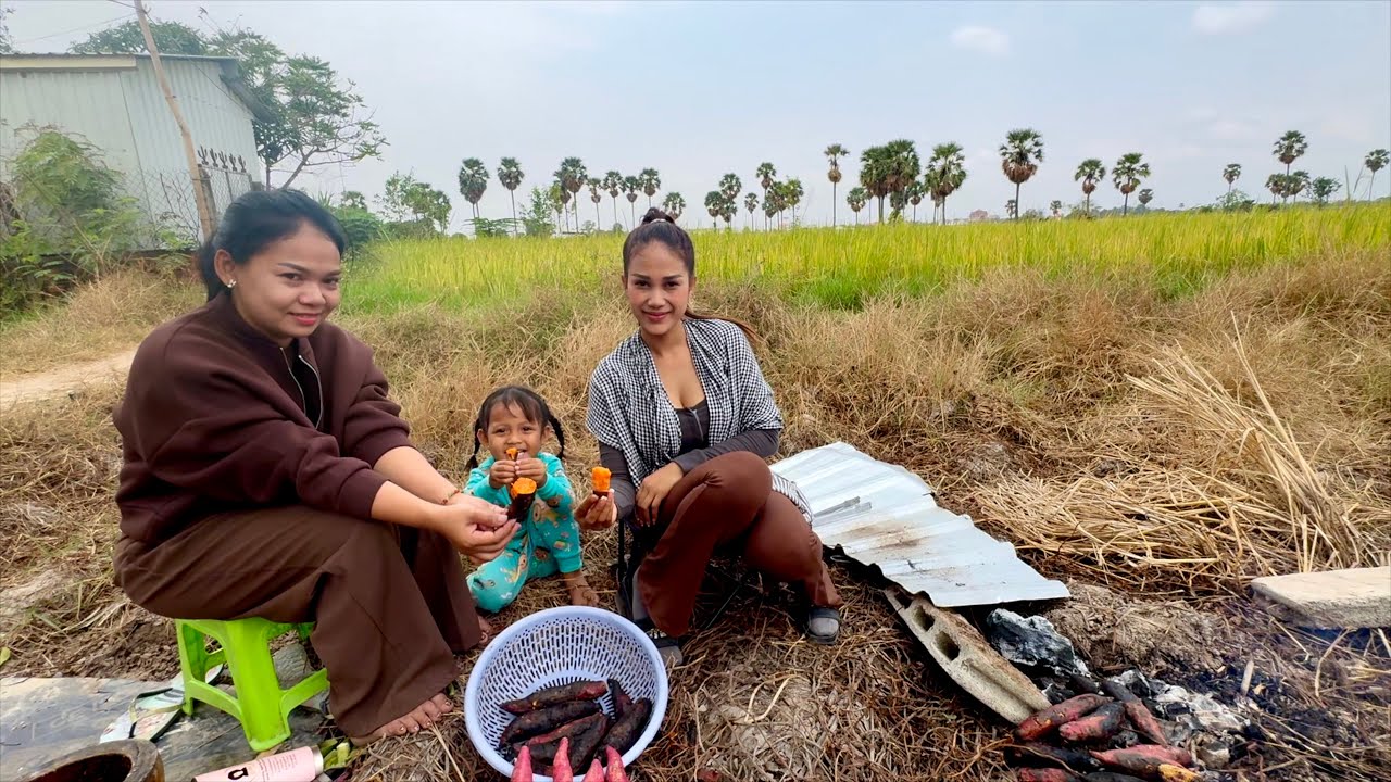 My Friend Propose To Grill Sweet Potatoes At The Paddy Field