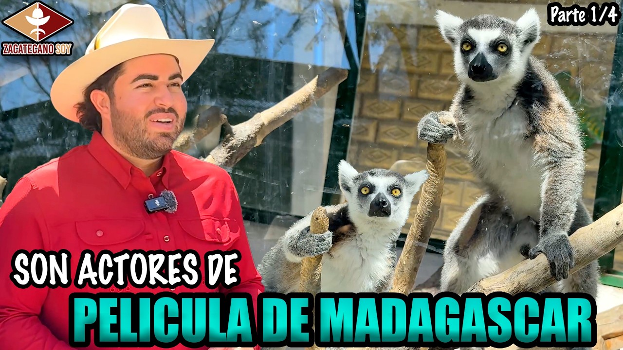 ESTOS ANIMALES SOLO SE VEN EN PELÍCULAS hoy los tenemos de frente