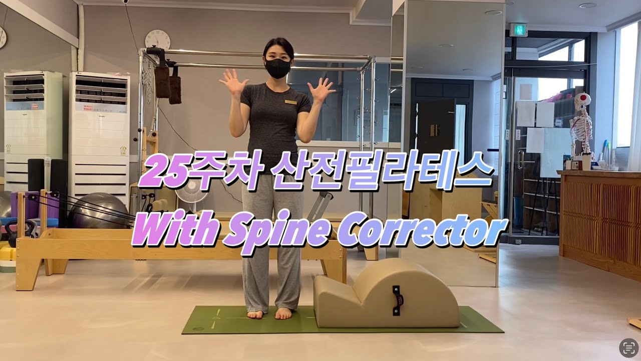 🤰🏻25주 산전 필라테스 / 스파인코렉터 스트레칭 시퀀스 [25Weeks Pilates for pregnant women]