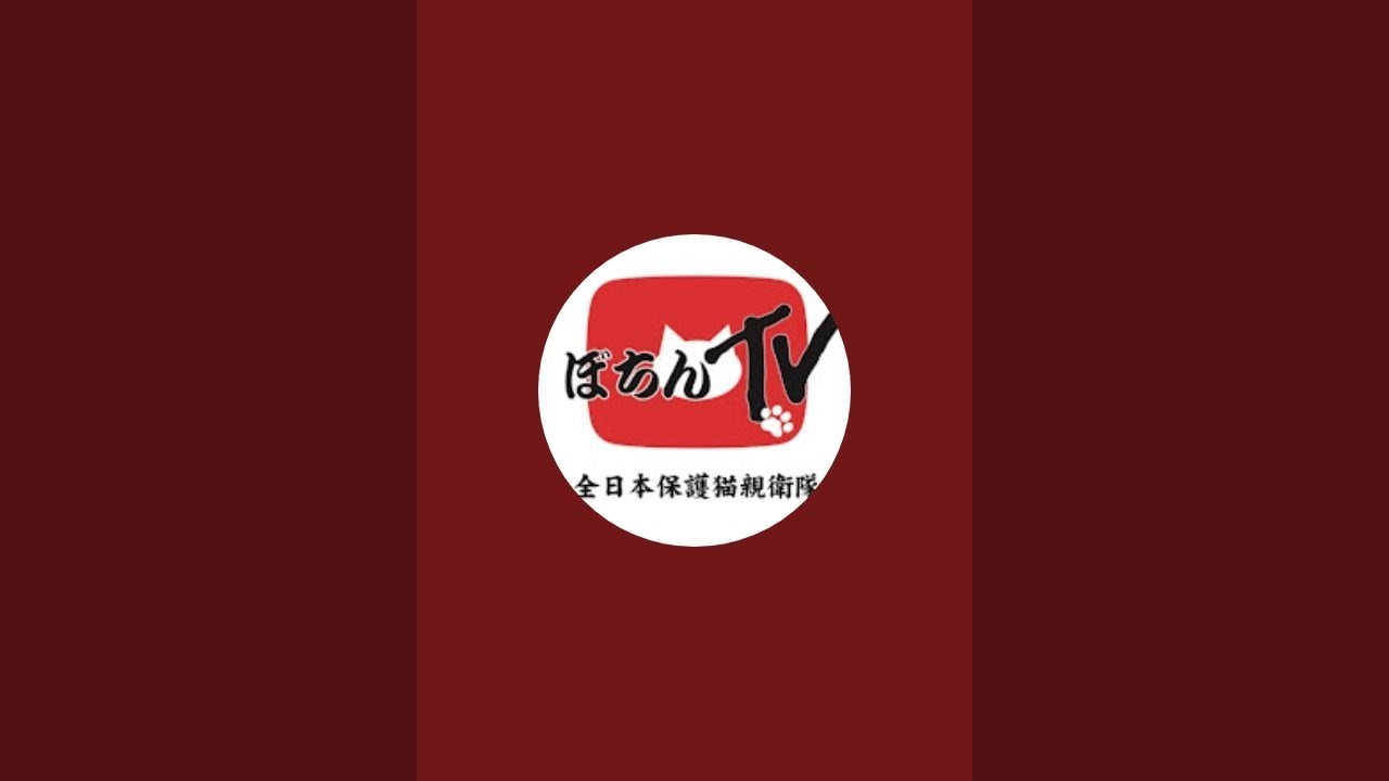 ぼちんTV がライブ配信中！