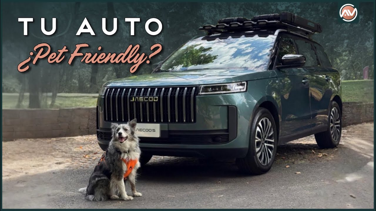¿CÓMO hacer que tu auto sea PET FRIENDLY? - Tips que te ayudarán MUCHO