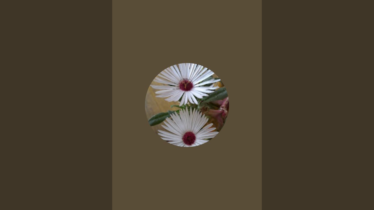 Garden queen is live!
