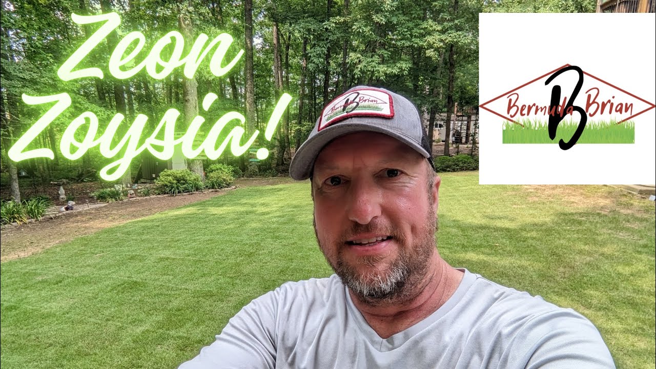 Zeon Zoysia Update