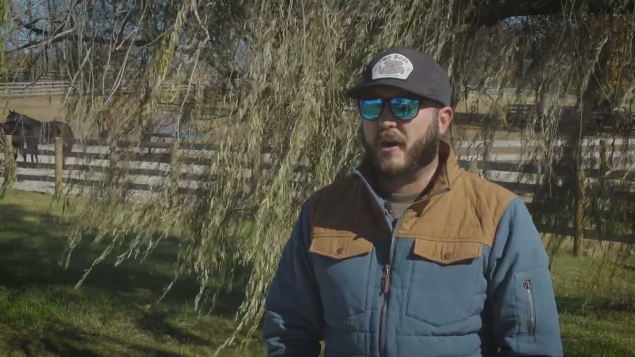 WinStar Farm - Improbable Weanling Features